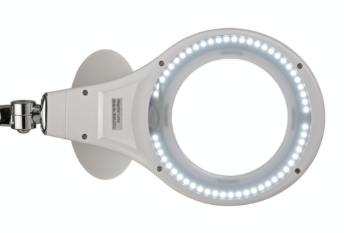 MAUL Elegante LED-loeplamp MAULmakro  L