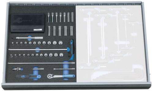 GEDORE 2005 CT2-D 20 1/4" dopsleutelassortiment in controlegereedschapmodule  L