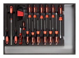 R22350002 Gereedschapsset schroevendraaier + vijlen CT-module 26-delig