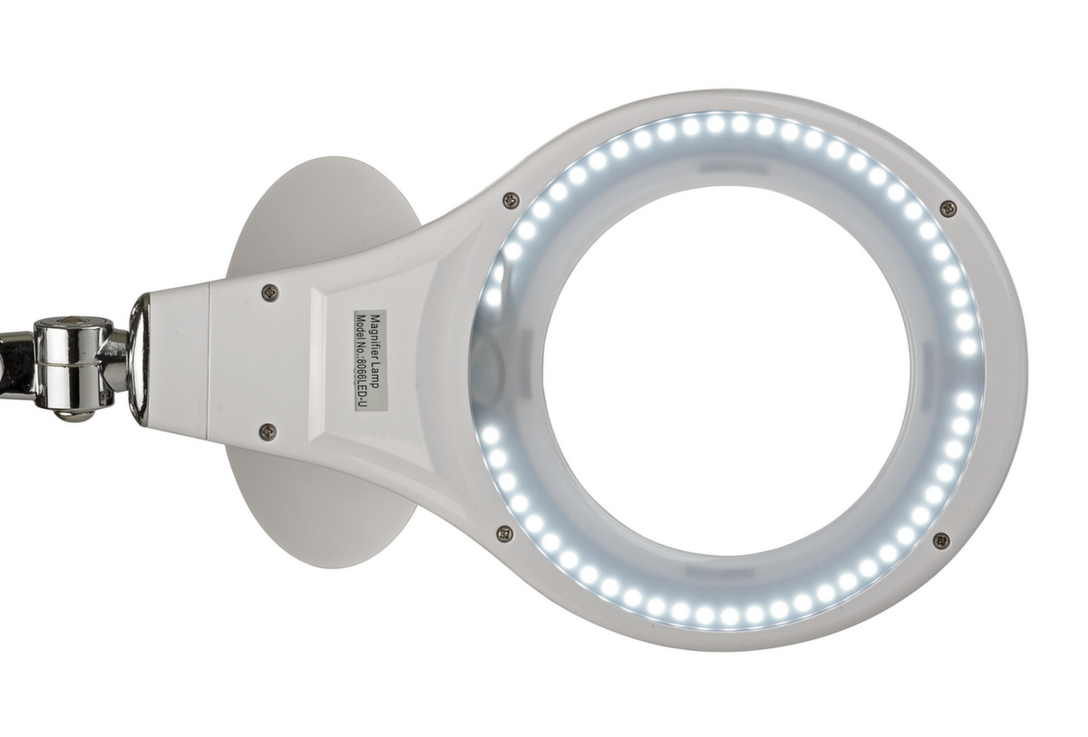 MAUL Elegante LED-loeplamp MAULmakro  ZOOM